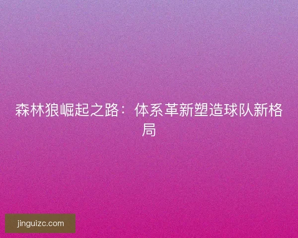 森林狼崛起之路：体系革新塑造球队新格局