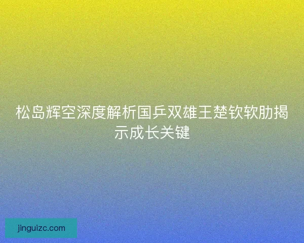 松岛辉空深度解析国乒双雄王楚钦软肋揭示成长关键