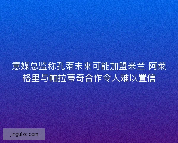 意媒总监称孔蒂未来可能加盟米兰 阿莱格里与帕拉蒂奇合作令人难以置信